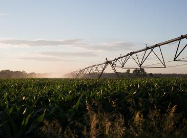 Imagen de un proyecto agrícola