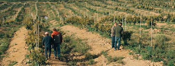 Imagen de varias personas visitando un cultivo.